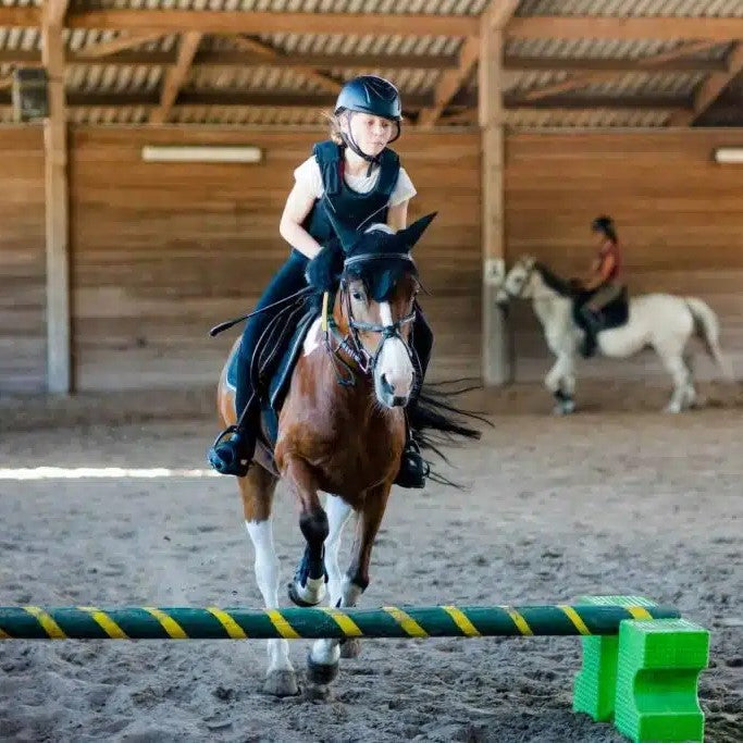 Tabara Matematica si Fizica (12 - 16 ani) - Ecole Chantemerle - Elvetia