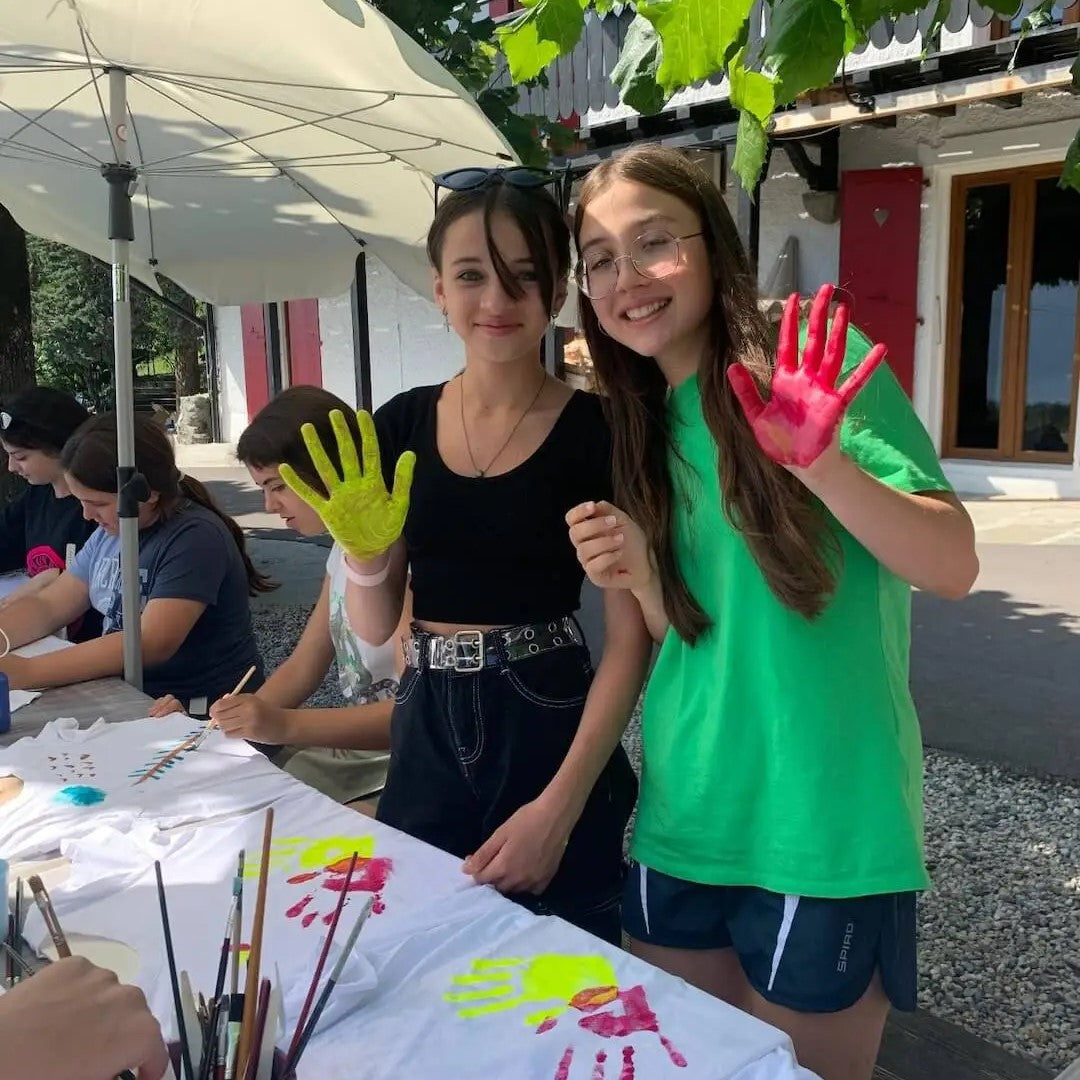 Tabara Matematica si Fizica (12 - 16 ani) - Ecole Chantemerle - Elvetia