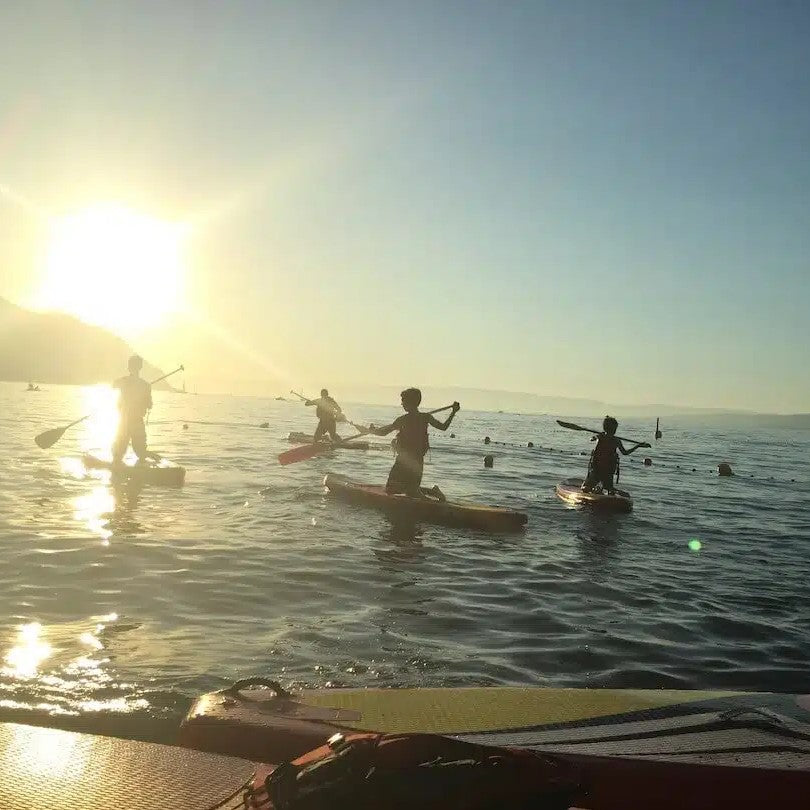 Tabara Matematica si Fizica (12 - 16 ani) - Ecole Chantemerle - Elvetia