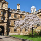 Tabara medicina 13-15 ani, Cambridge University, Anglia - IVI Romania 7