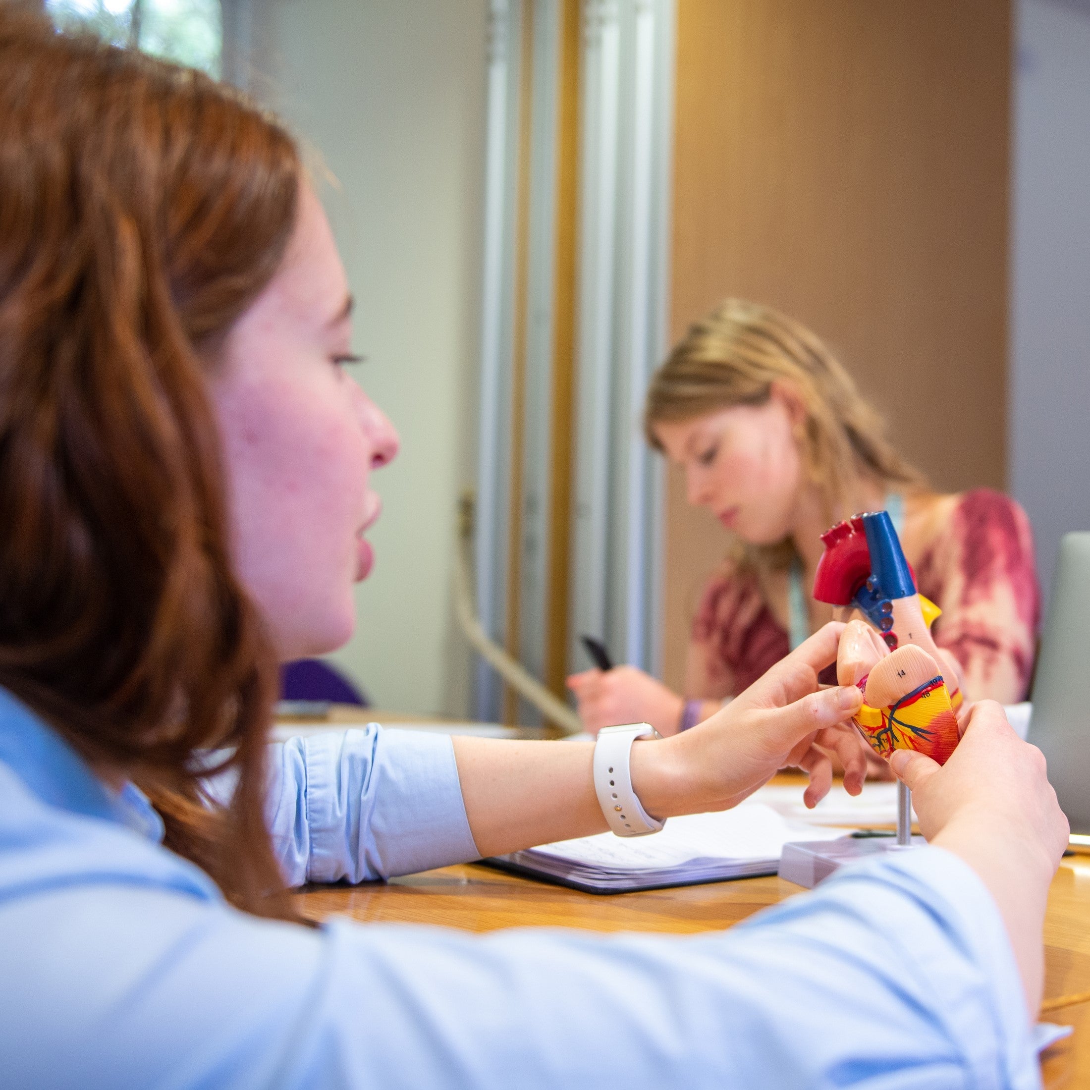 Tabara medicina 15-17 ani, Oxford University, Anglia, IVI Romania 7