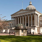 Tabara Medicina (15 - 18 ani) - Londra - Anglia