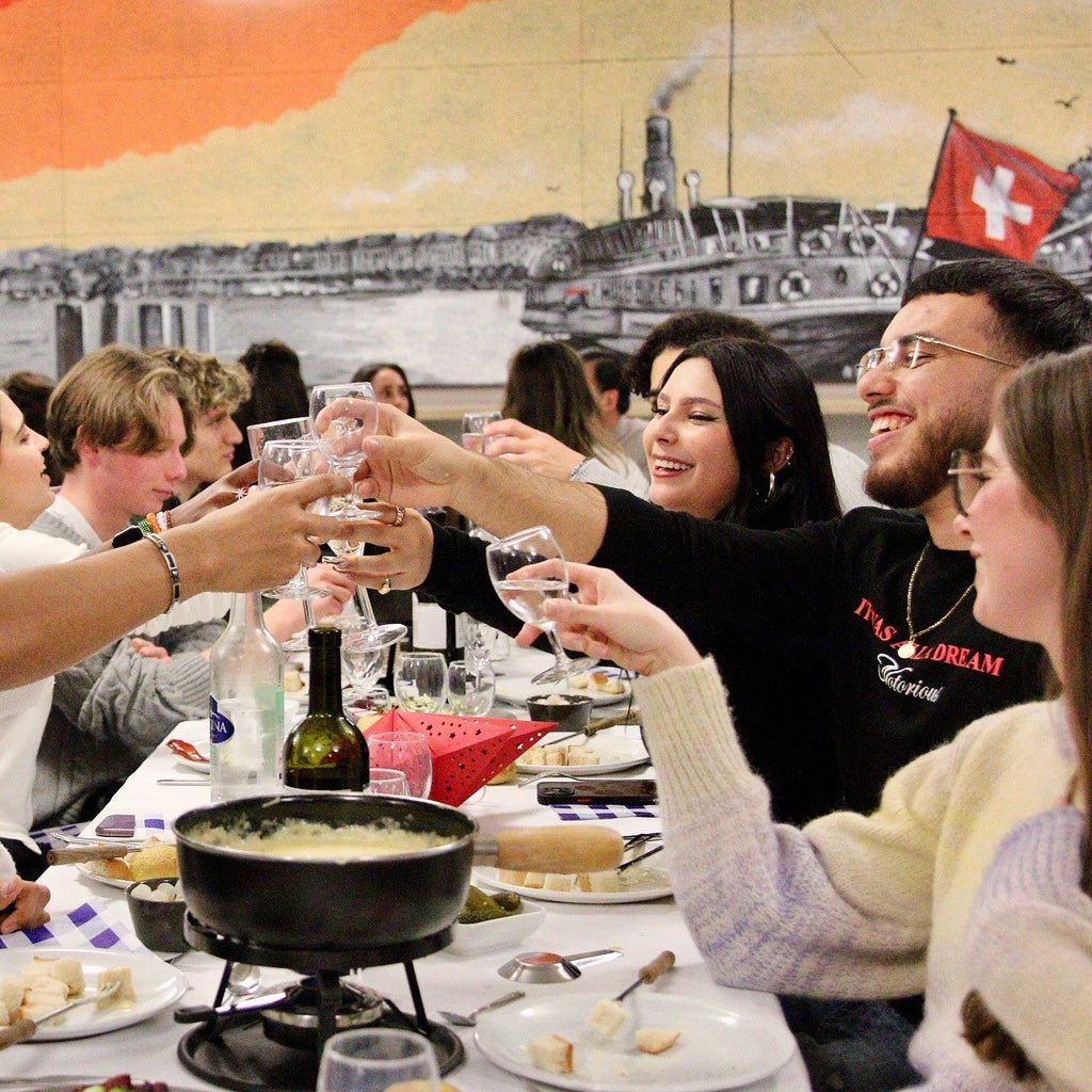 Tabara Medicina (16 - 18 ani) - College du Leman - Elvetia