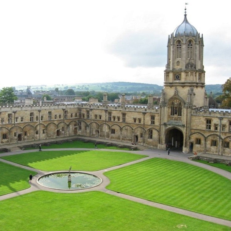 Tabara medicina 16-18 ani, Oxford University, Anglia - IVI Romania 1