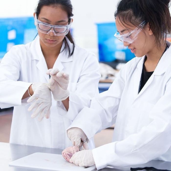 Tabara medicina 16-18 ani, Oxford University, Anglia - IVI Romania 2