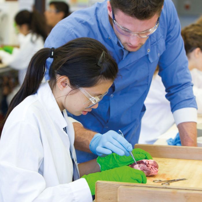 Tabara medicina 16-18 ani, Oxford University, Anglia - IVI Romania 4