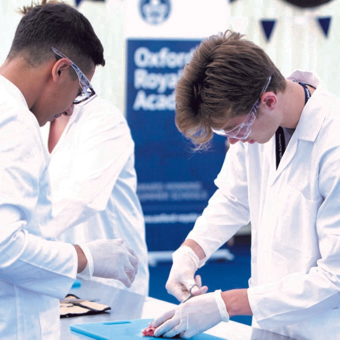 Tabara medicina 16-18 ani, Oxford University, Anglia - IVI Romania 7