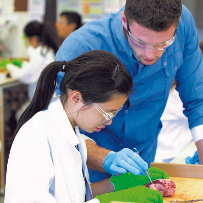 Tabara medicina 16-18 ani, Yale University, SUA - IVI Romania 2