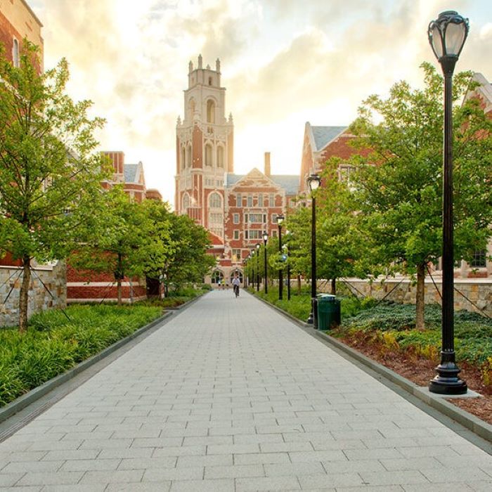 Tabara medicina 16-18 ani, Yale University, SUA - IVI Romania 1