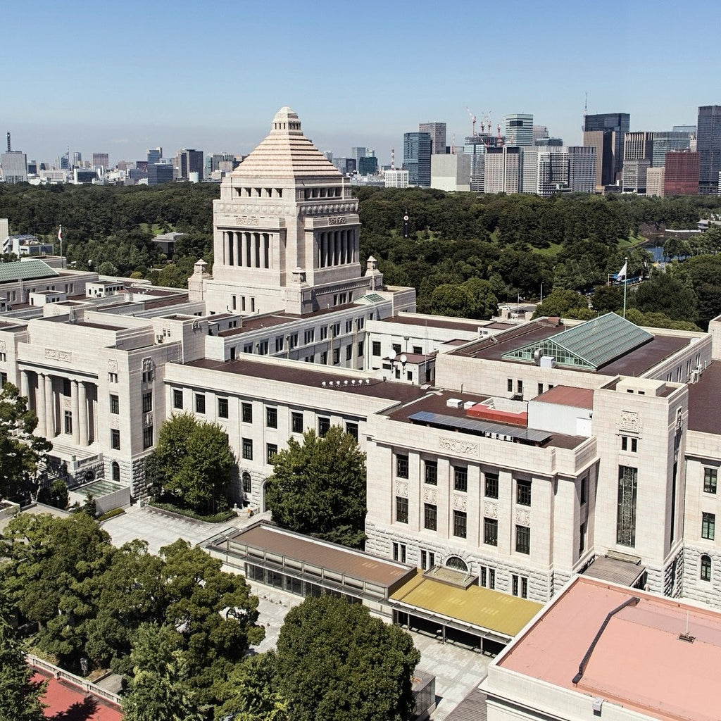 Tabara mediu 15-18 ani, Tokyo, Japonia, IVI Romania 1