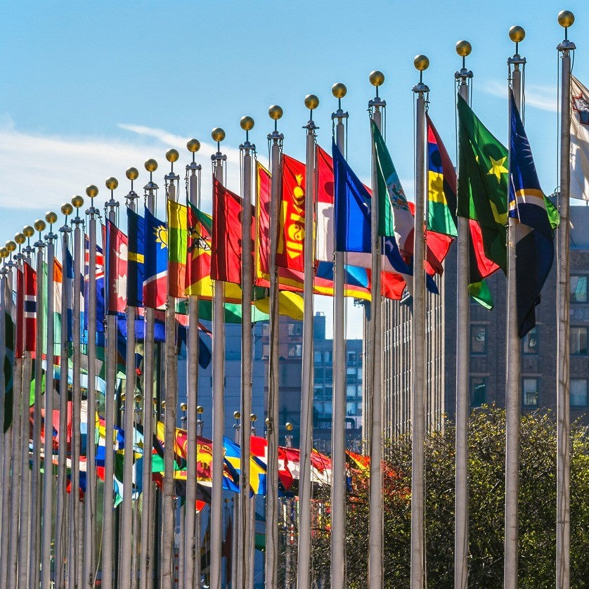 Tabara leadership model ONU 12-18 ani, New York, USA, IVI Romania 1