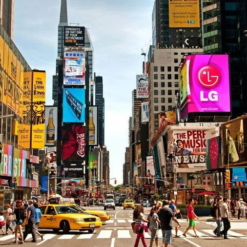 Tabara psihologie 16-18 ani, Columbia University, SUA. IVI Romania 15