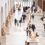 Tabara psihologie 16-18 ani, Columbia University, SUA. IVI Romania 8