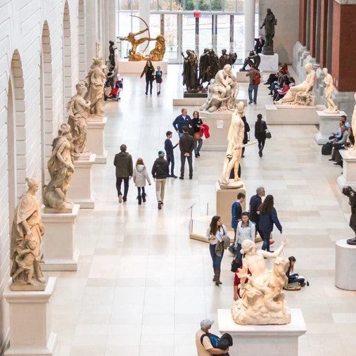 Tabara psihologie 16-18 ani, Columbia University, SUA. IVI Romania 8