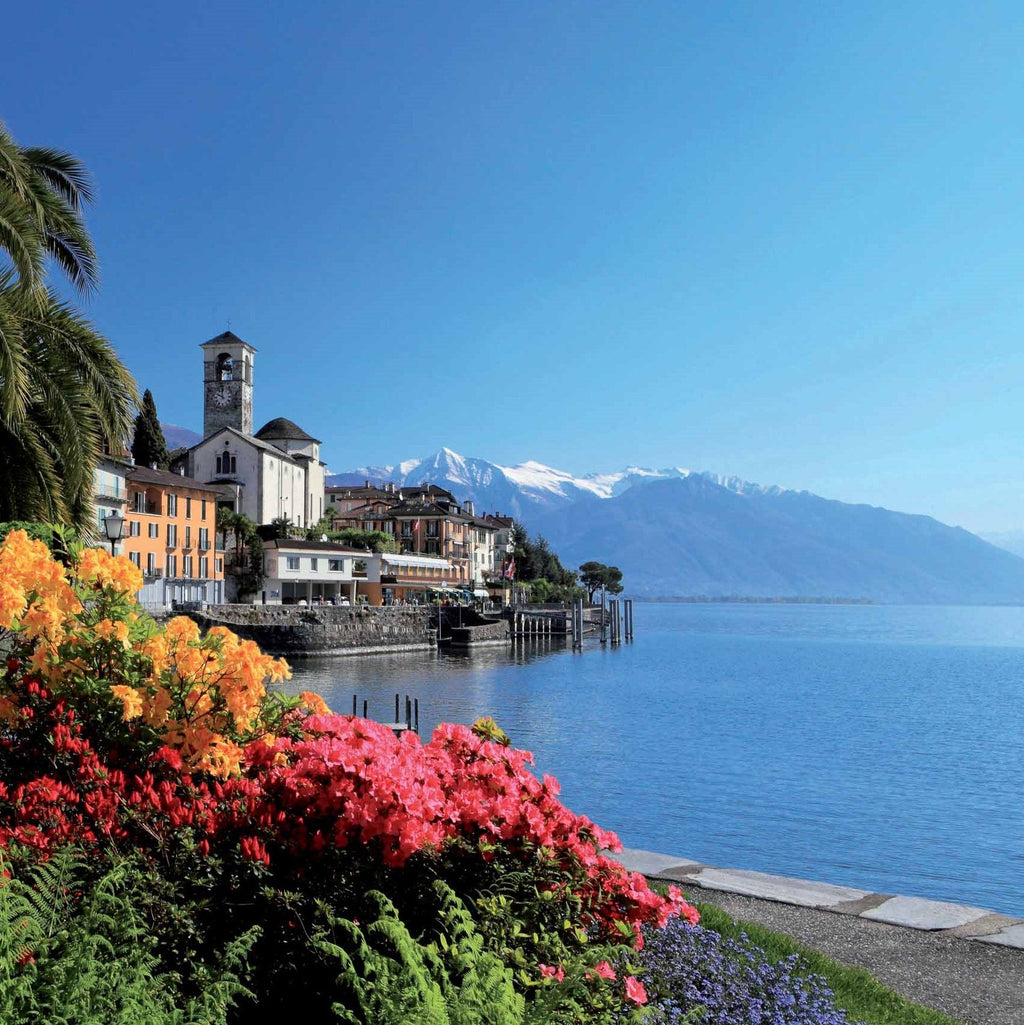 Tabara scriere creativa 11-13 ani, TASIS, Elvetia - IVI Romania 1