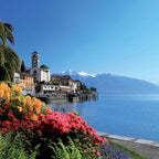 Tabara scriere creativa 11-13 ani, TASIS, Elvetia - IVI Romania 1