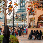 Tabara securitate cibernetica si AI pentru elevi de 16-18 ani in Dubai. IVI Romania 5