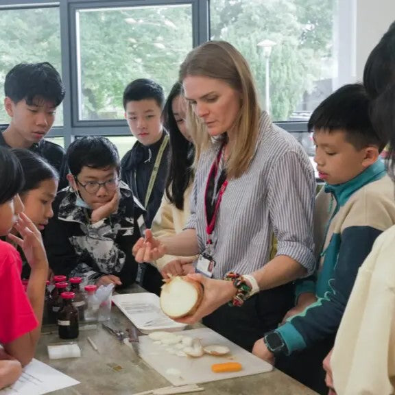 Tabara stiinte si explorare 11-12 ani, Concord College, IVI Romania 3