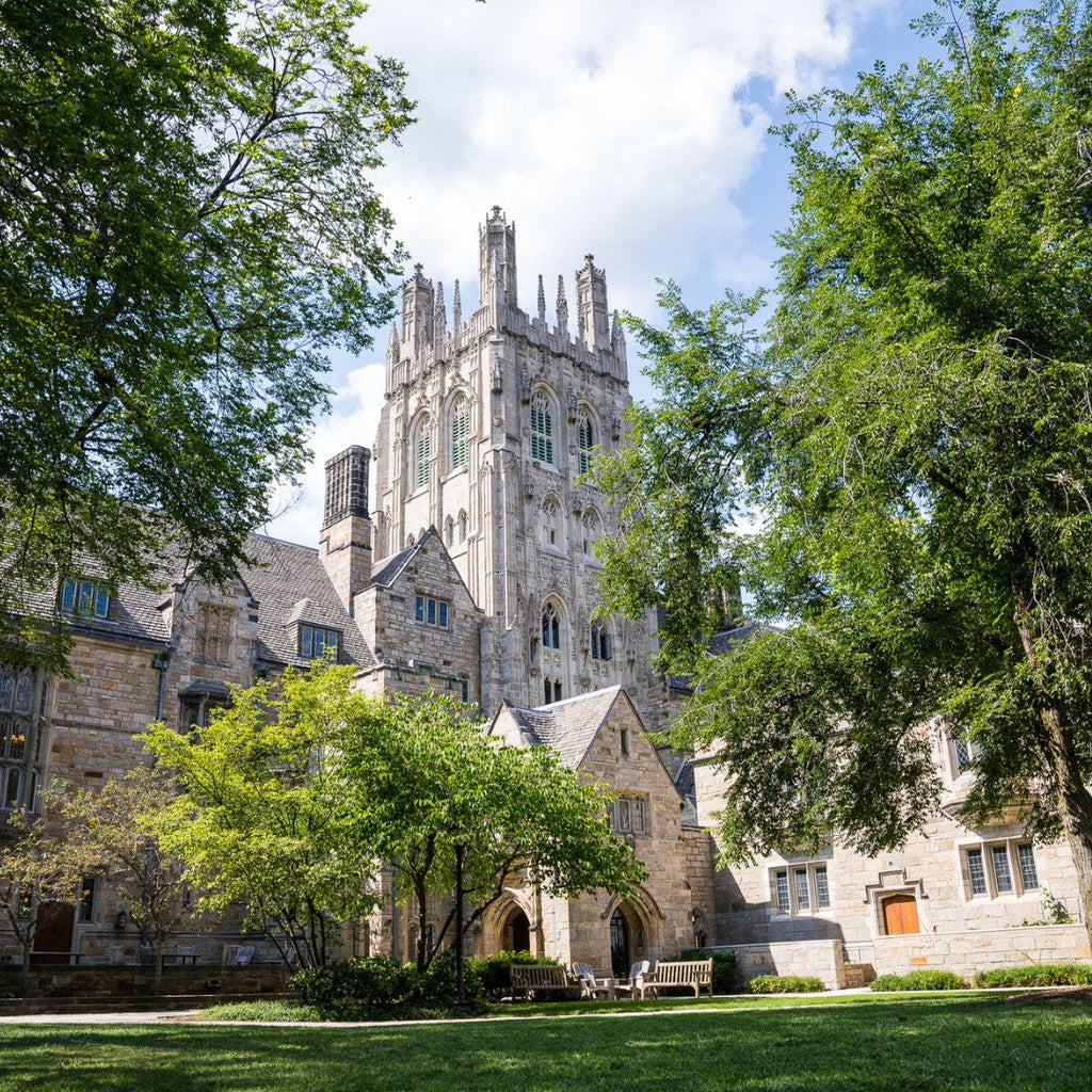 Tabara Study Skills (13 - 18 ani) - Yale University - SUA