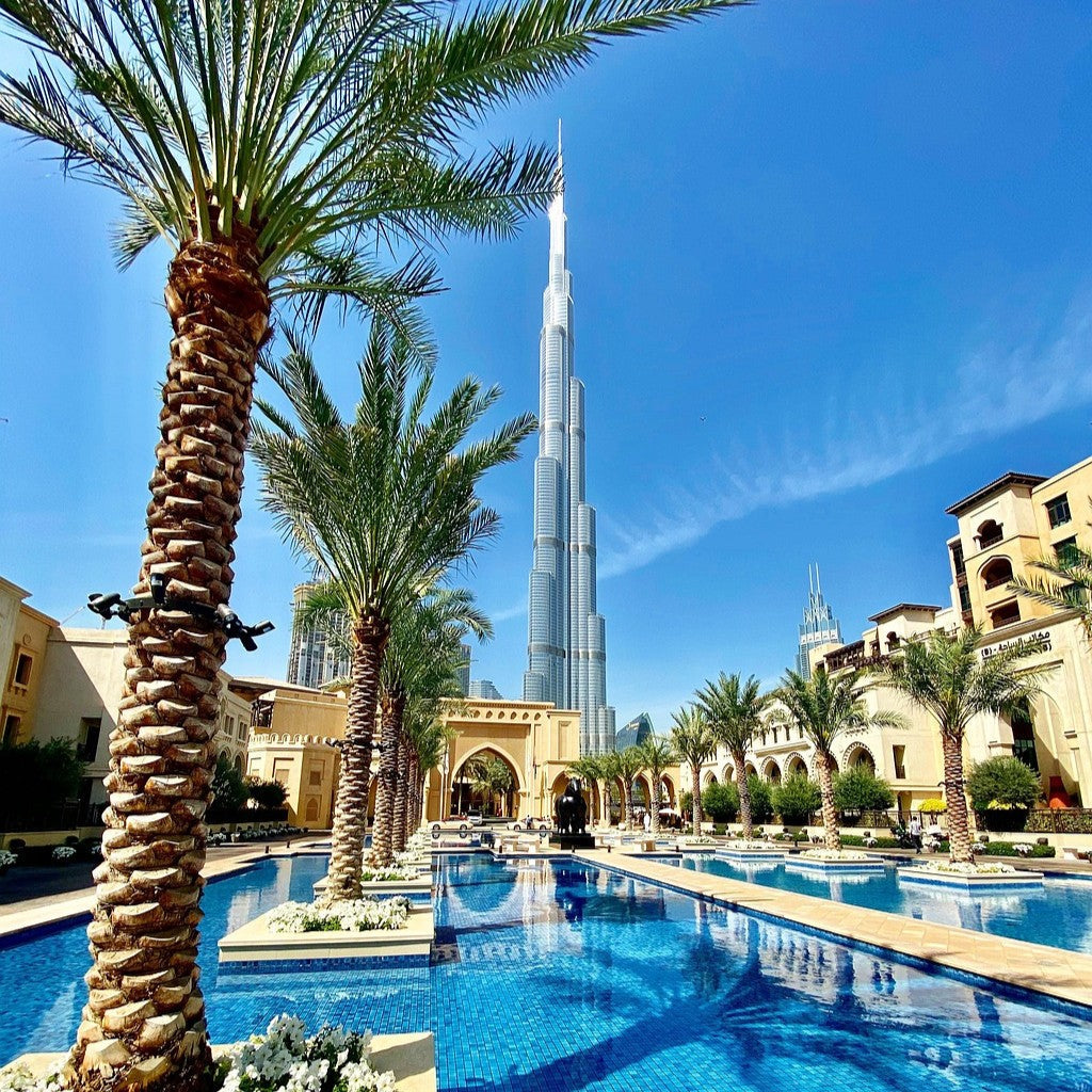 Tabara sustenabilitate si politici de mediu, 16-18 ani, Dubai. IVI Romania 2