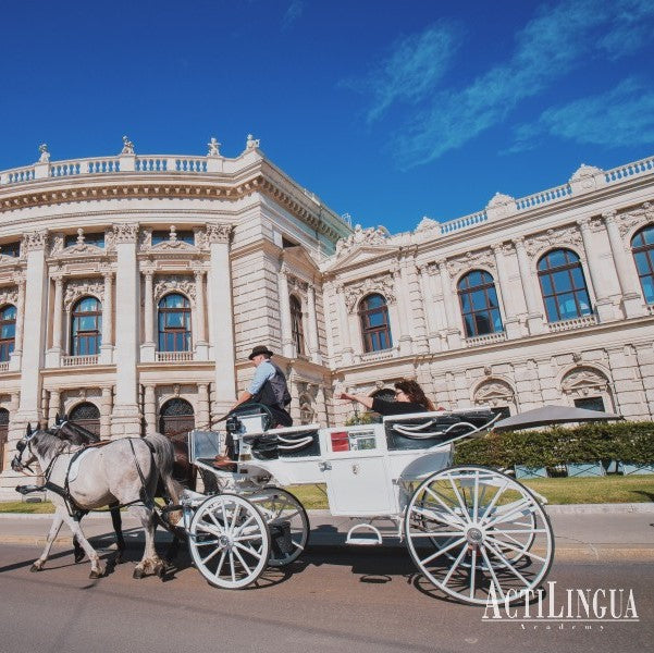 Tabara Germana Intensiv (12 - 17 ani) - Viena - Austria