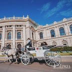 Tabara Germana Intensiv (12 - 17 ani) - Viena - Austria