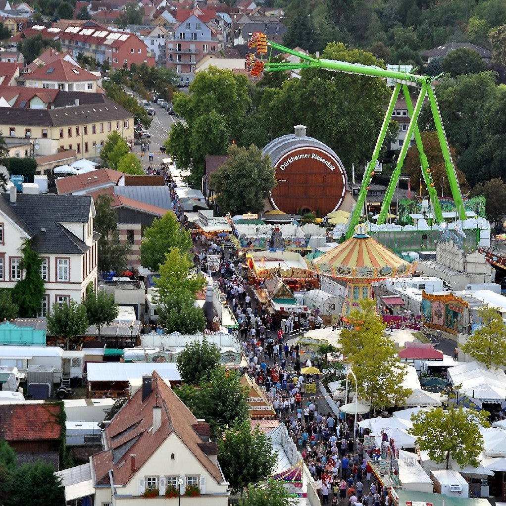 Tabara Germana (9 - 13 ani) - Bad Durkheim - Germania