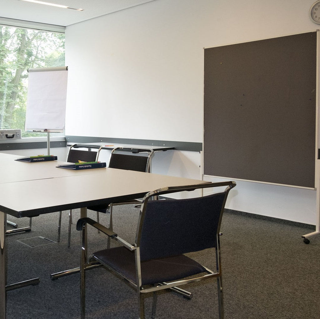 Tabara Germana (14 - 18 ani) - Dusseldorf - Germania