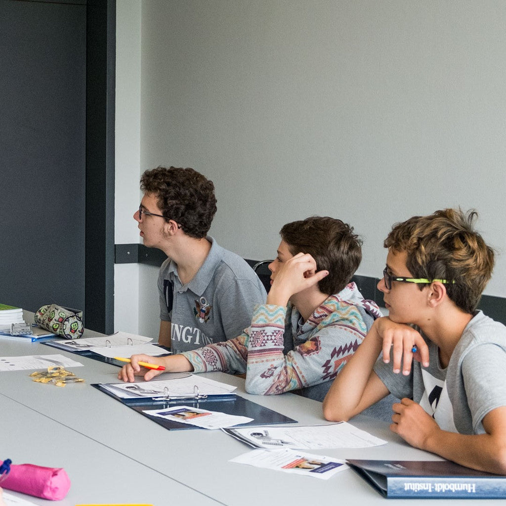 Tabara Germana (14 - 18 ani) - Dusseldorf - Germania