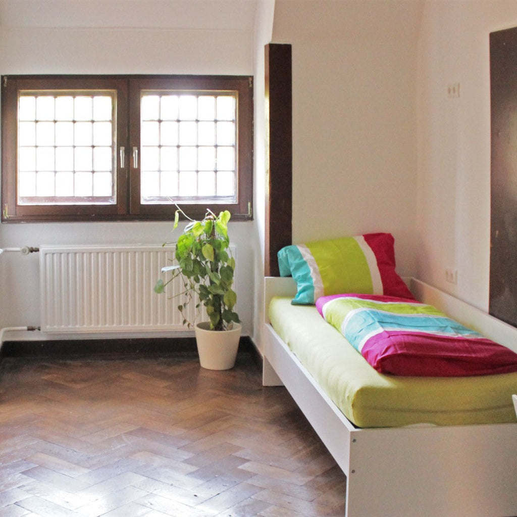 Tabara Germana (9-13 ani) - Heesen Castle - Germania