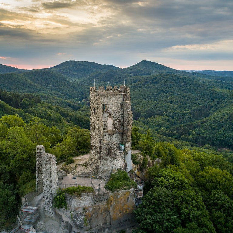 Tabara Germana (14 - 18 ani) - Koln - Germania