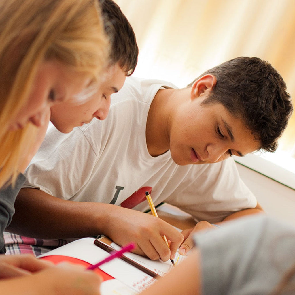 Tabara Germana (14 - 18 ani) - Viena - Austria