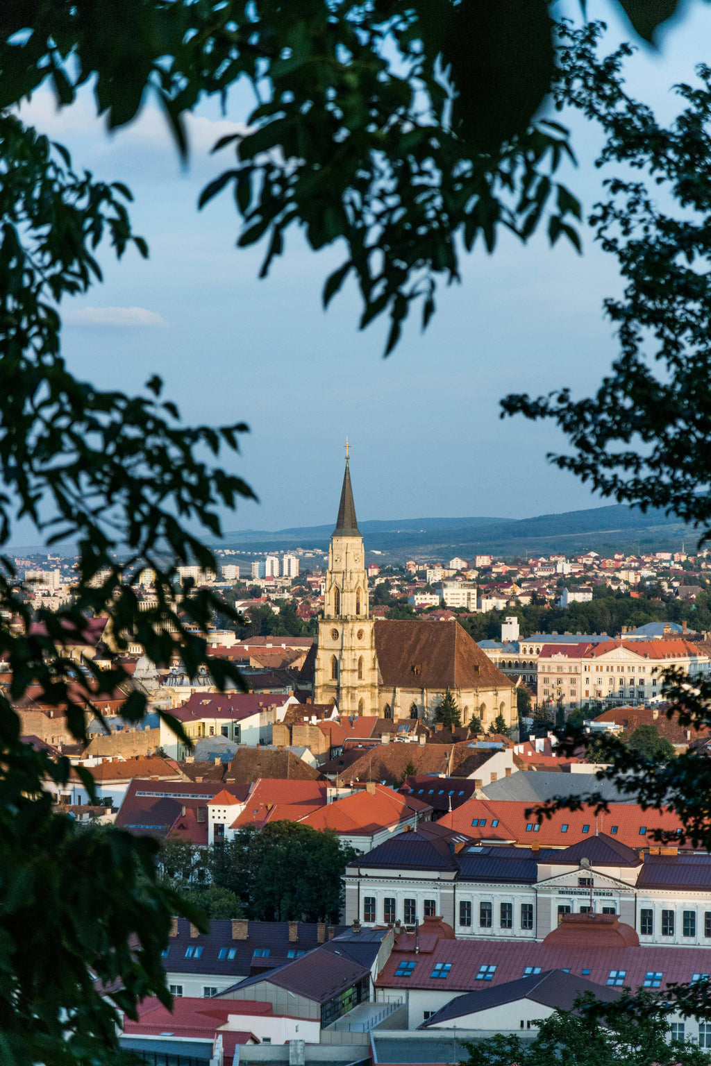 Dentistry - Iuliu Hațieganu University of Medicine and Pharmacy Cluj-Napoca, Romania